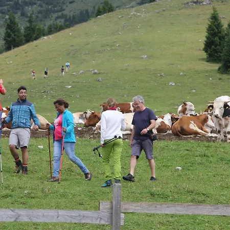 Aparthouse Jana Breg Apartment *