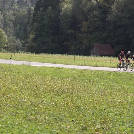 Aparthouse Jana Breg *