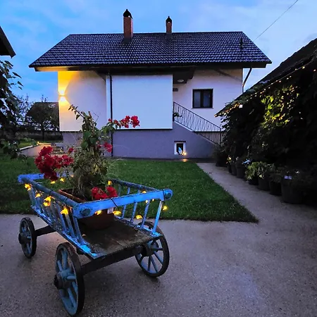 Aparthouse Jana Breg * Zirovnica