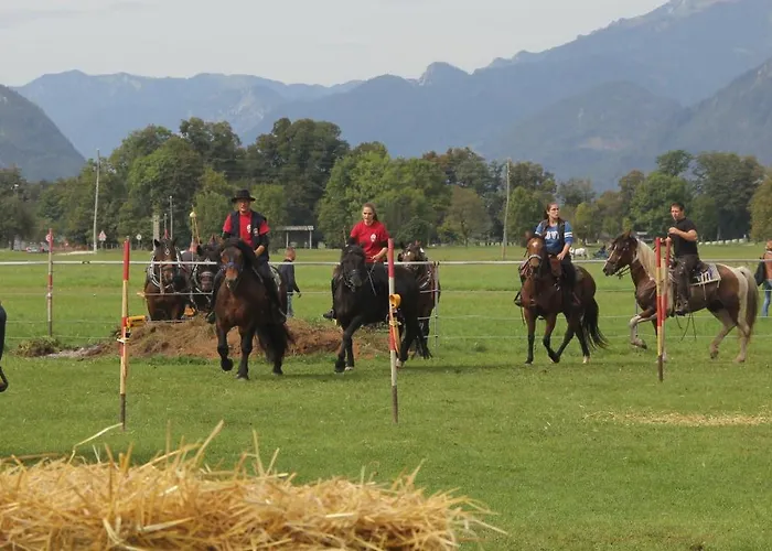 Aparthouse Jana Breg * Zirovnica