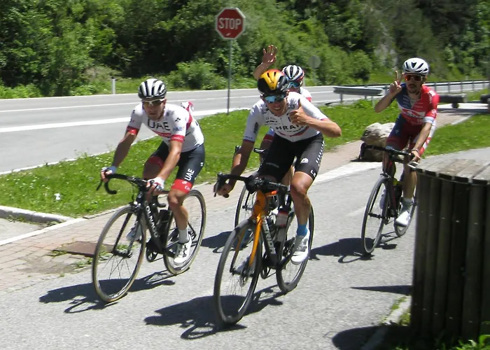 Aparthouse Jana Breg