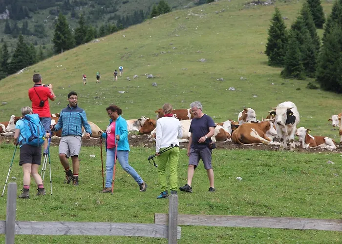 Aparthouse Jana Breg דירה *