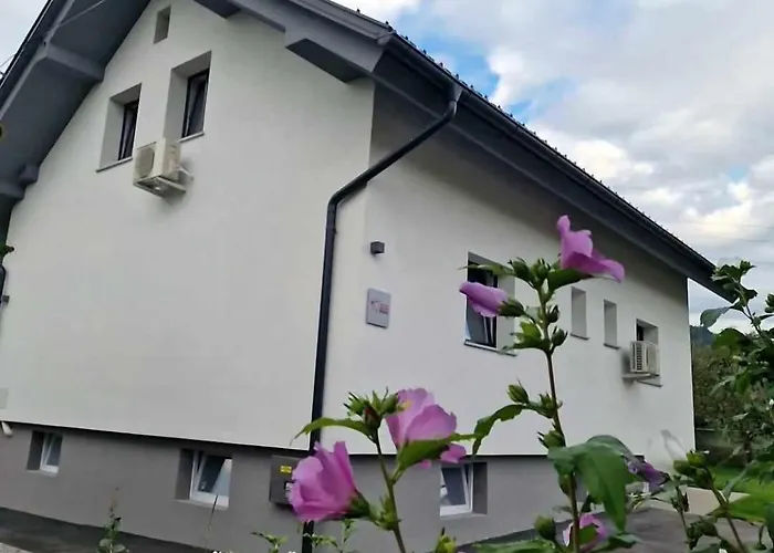 Aparthouse Jana Breg דירה