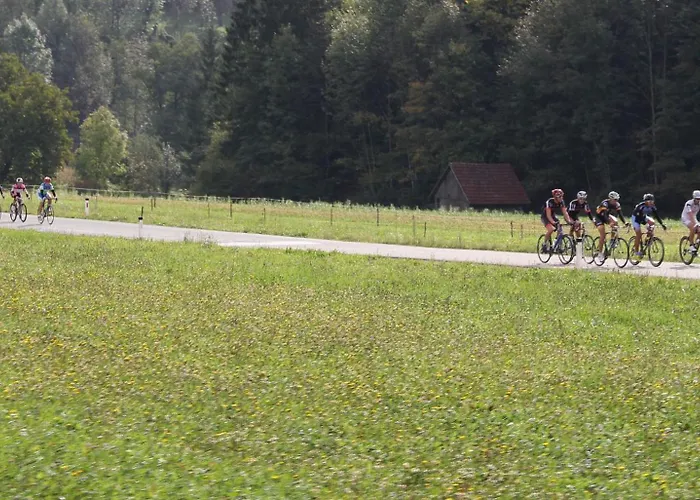 Aparthouse Jana Breg *