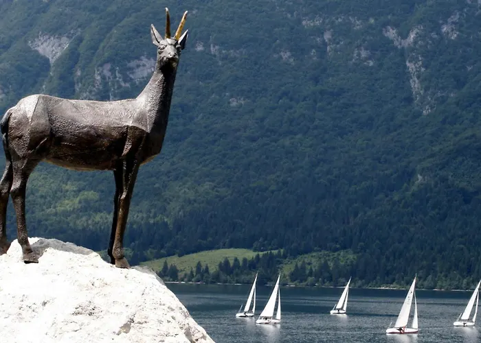 Aparthouse Jana Breg דירה